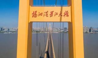 杨泗港长江大桥 杨泗港长江大桥